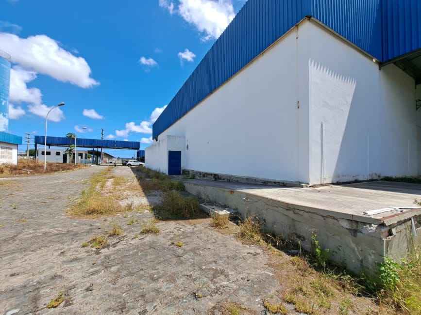 Imagem 11 - 35006699