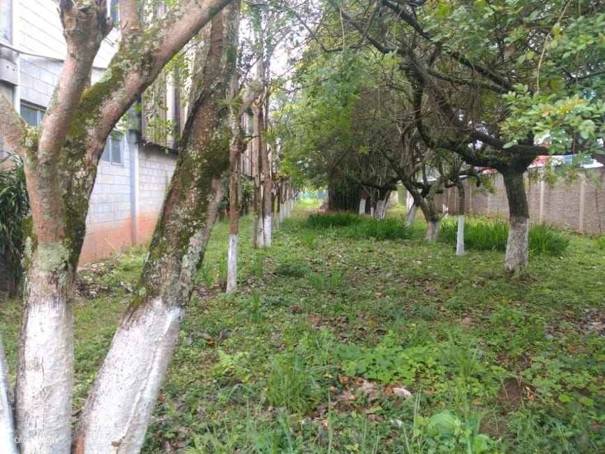 Imagem 11 - 70994469