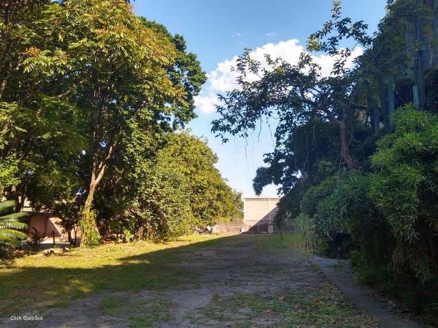 Imagem 32 - 32059277