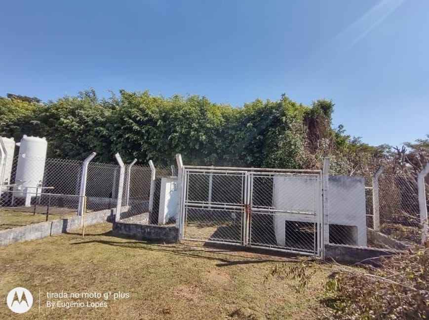 Imagem 16 - 71149589