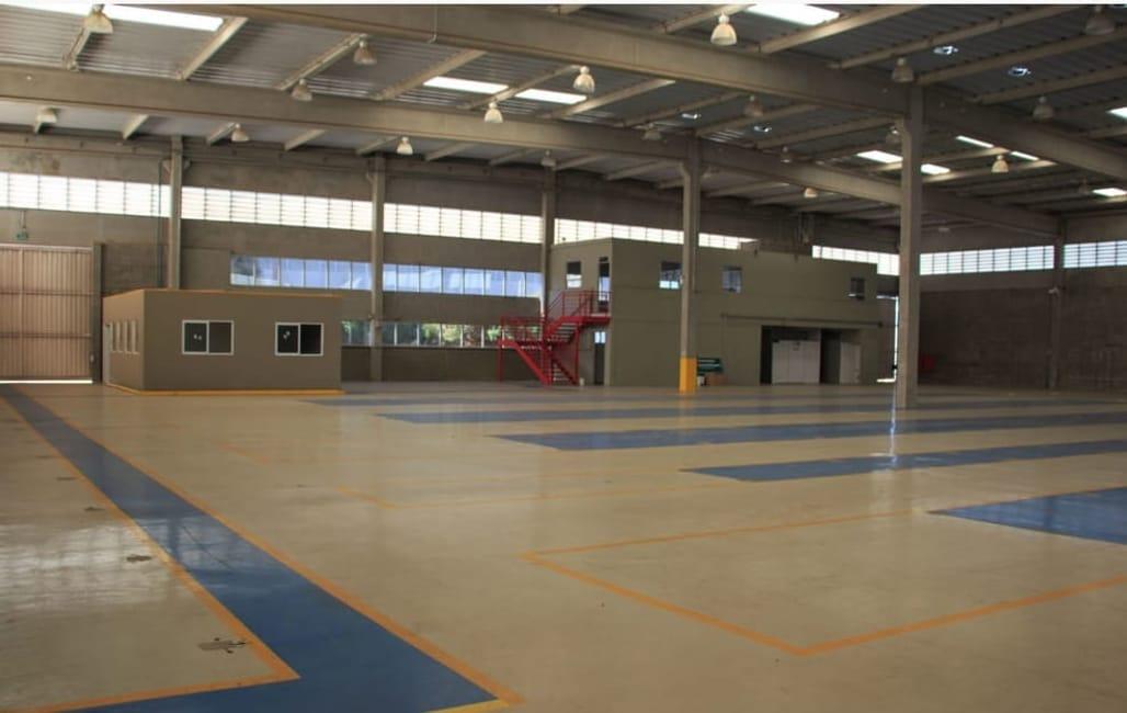 Imagem 10 - 74259457