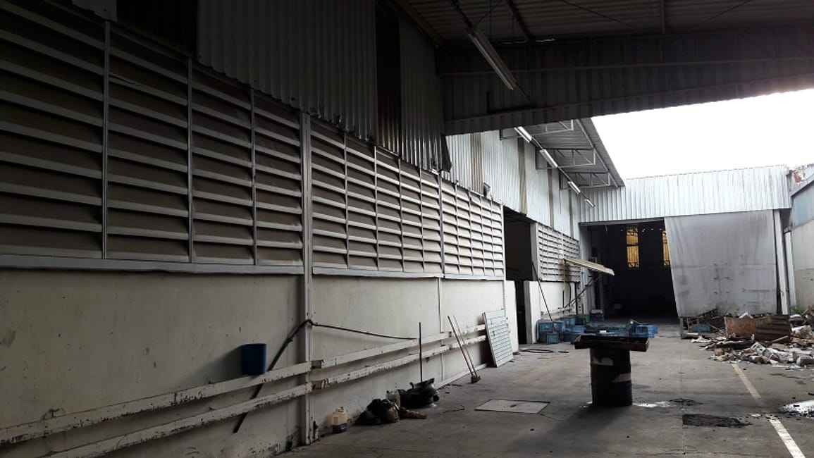 Imagem 17 - 32059717