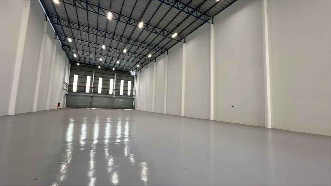 Imagem 11 - 74260223