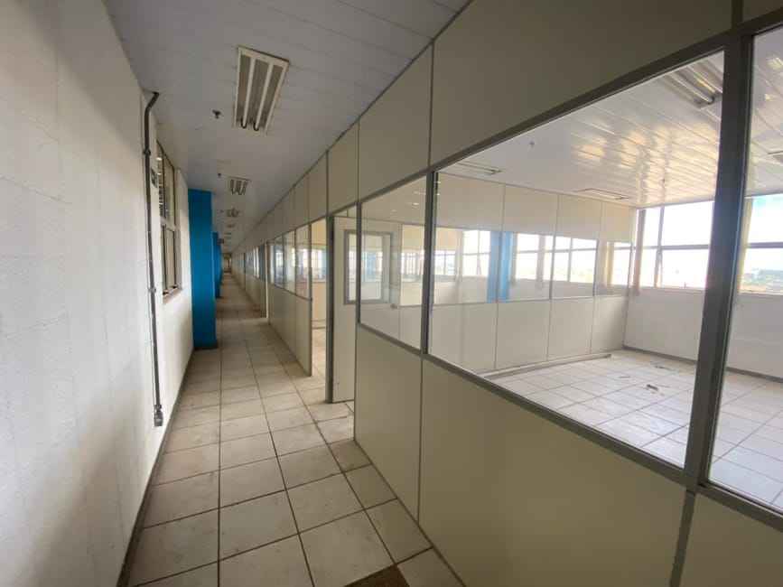 Imagem 14 - 74260328