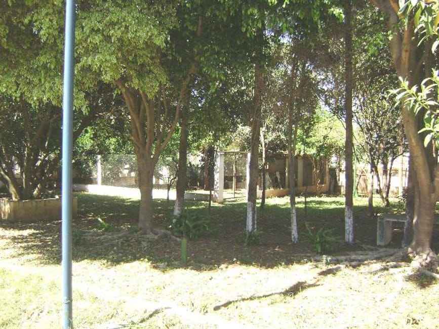 Imagem 13 - 32059331