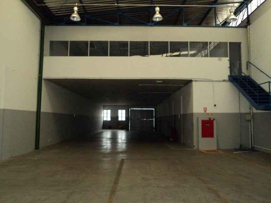 Imagem 14 - 74259428