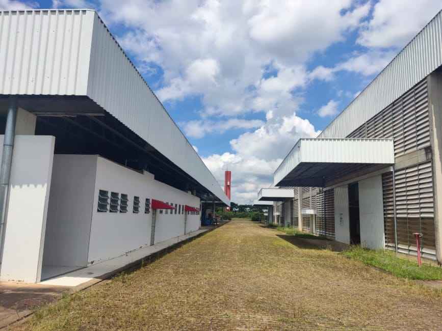 Imagem 10 - 71149589