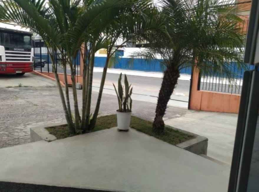 Imagem 3 - 35007009