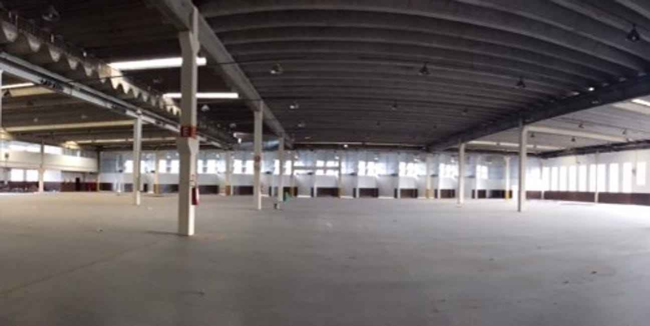 Imagem 12 - 74259335