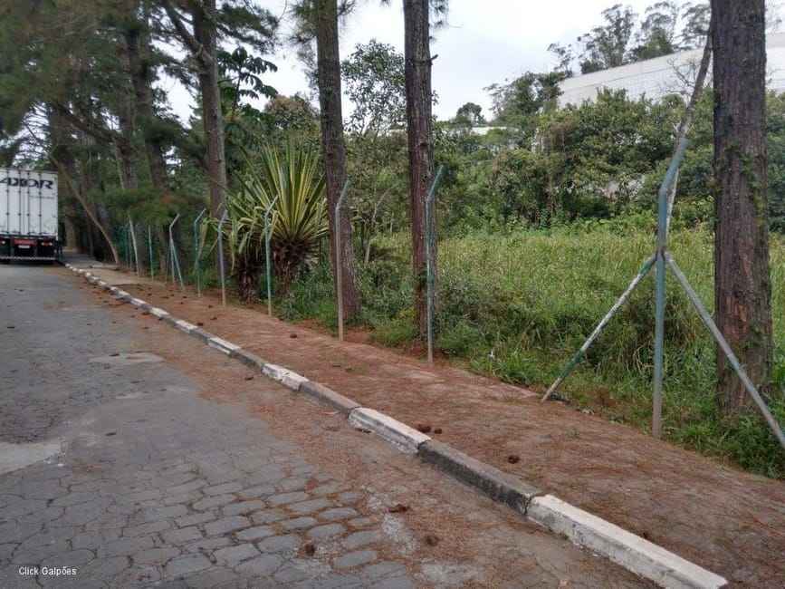 Imagem 16 - 70983552