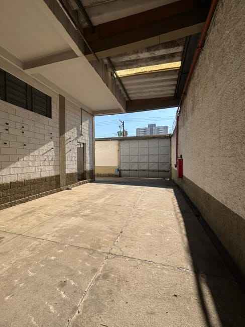 Imagem 12 - 35007942