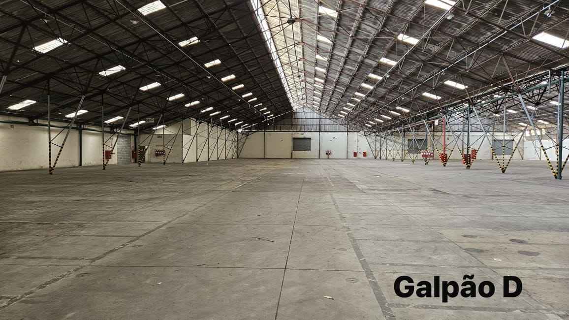 Imagem 14 - 35000428