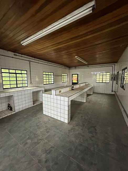 Imagem 11 - 70807246