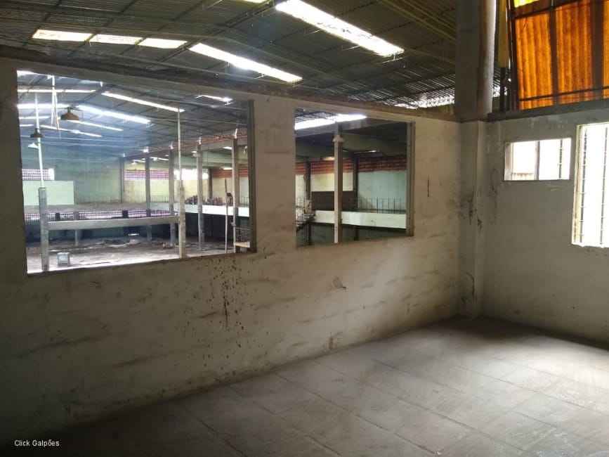 Imagem 10 - 32059277