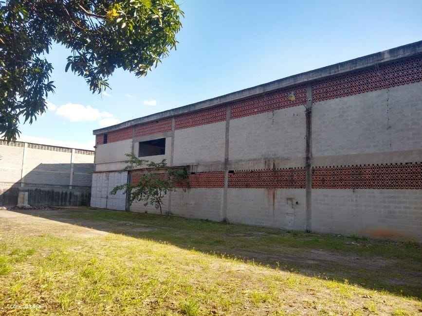 Imagem 54 - 32059277