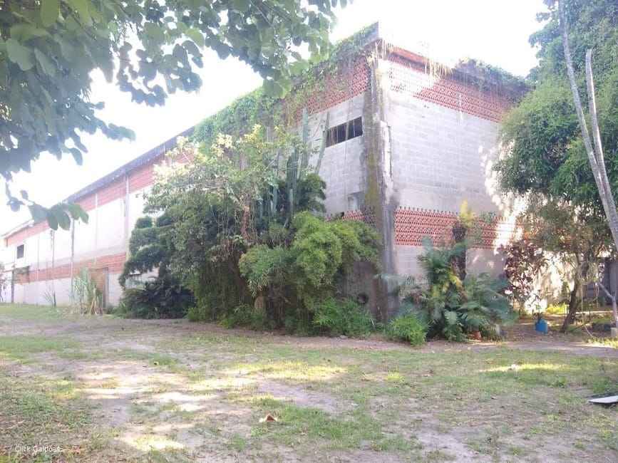 Imagem 31 - 32059277