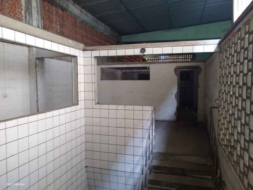 Imagem 26 - 32059277