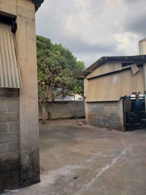 Imagem 19 - 70794573