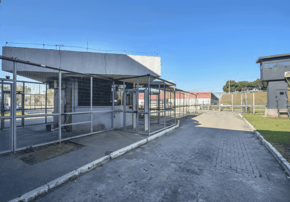 Imagem 12 - 74260357