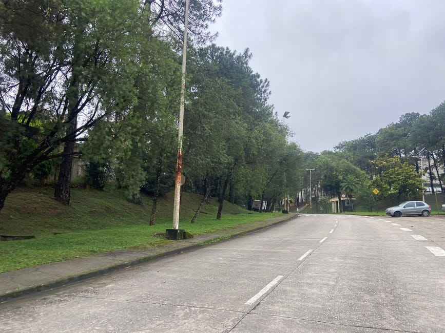 Imagem 19 - 74260450