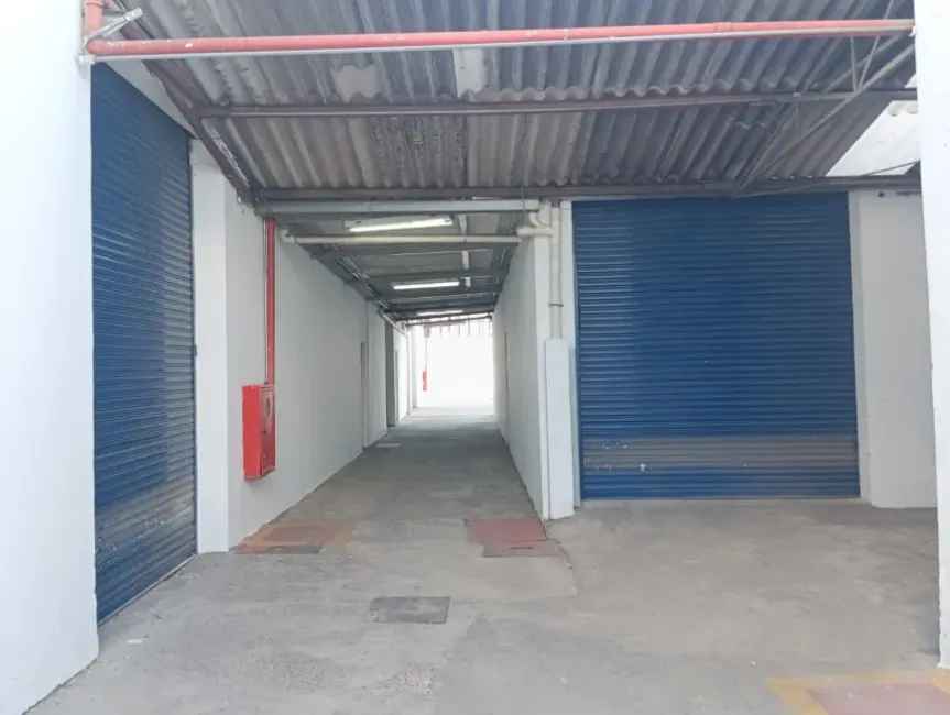 Imagem 42 - 35007937