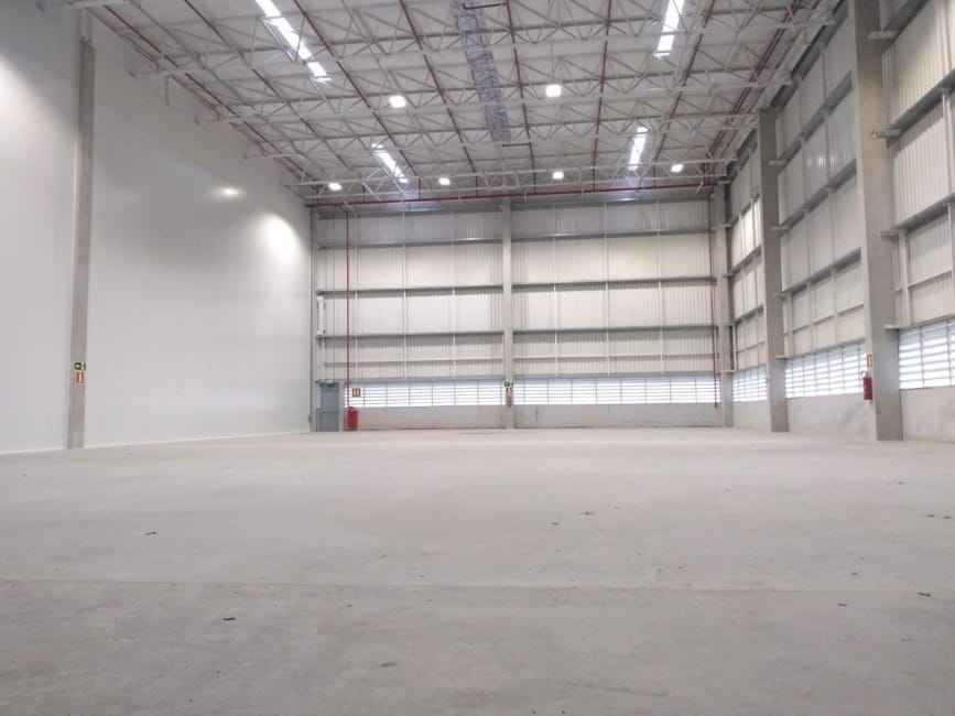 Imagem 14 - 74259795