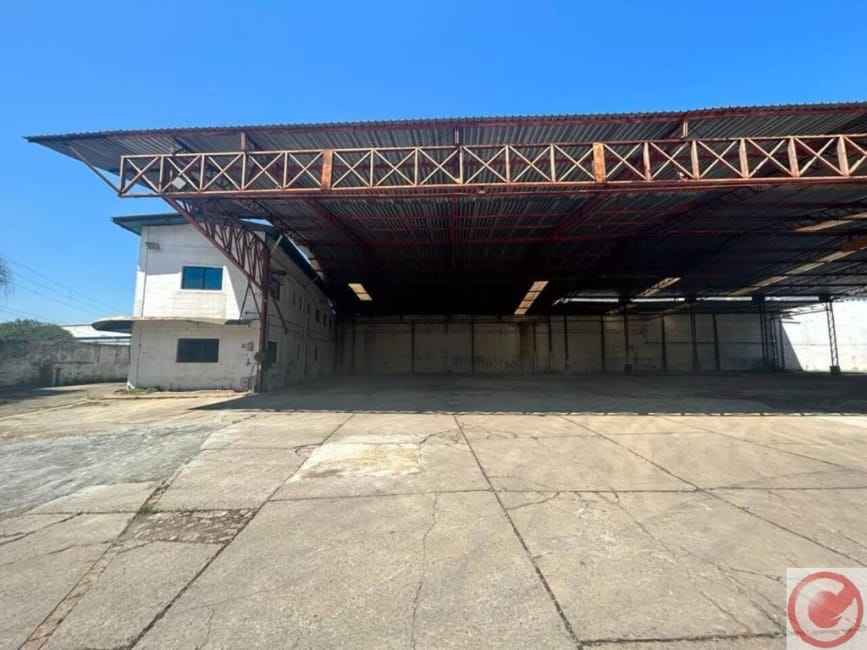 Imagem 10 - 32710428