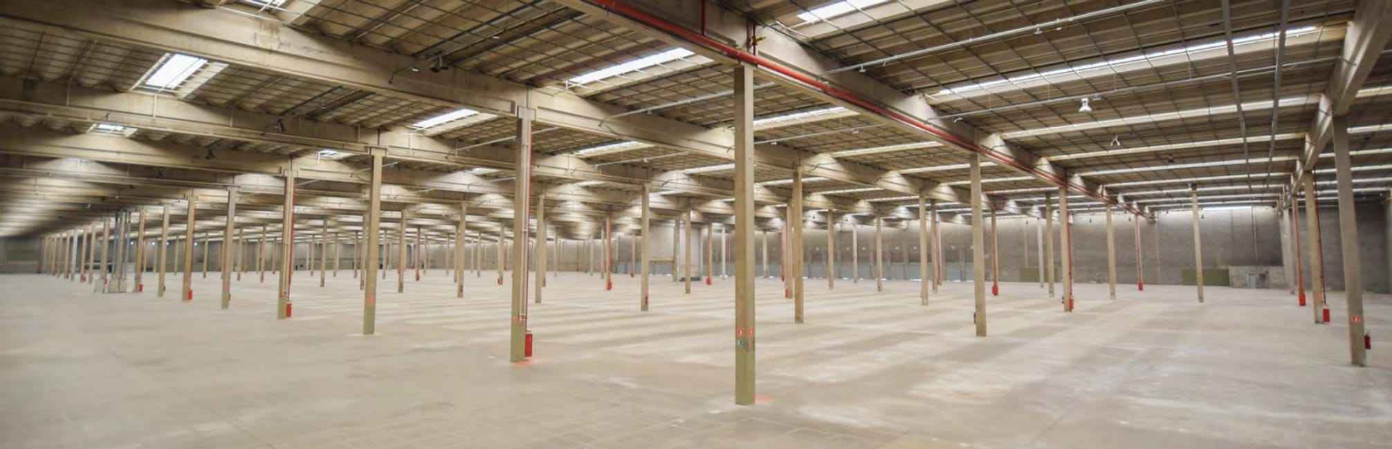 Imagem 12 - 74260288