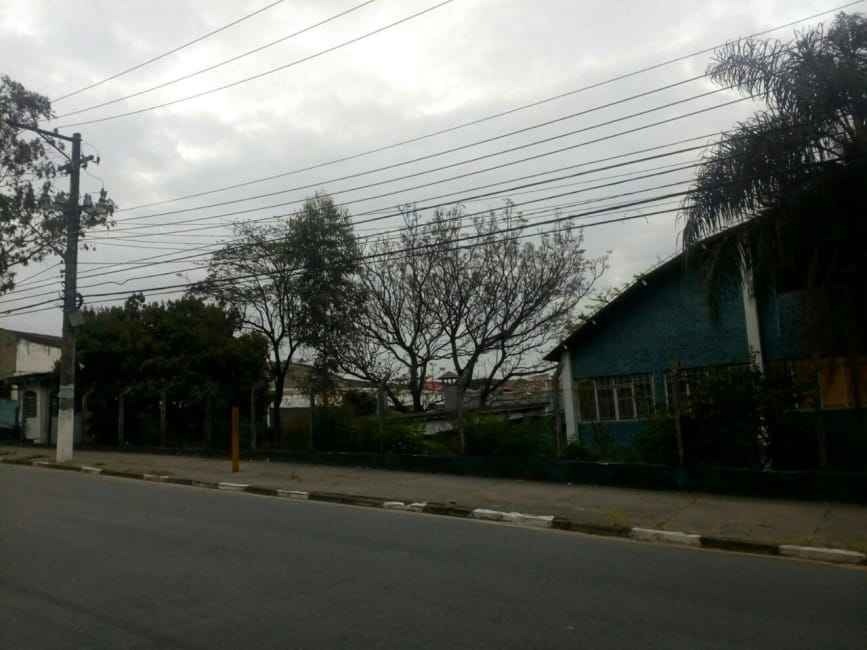 Imagem 12 - 34212520