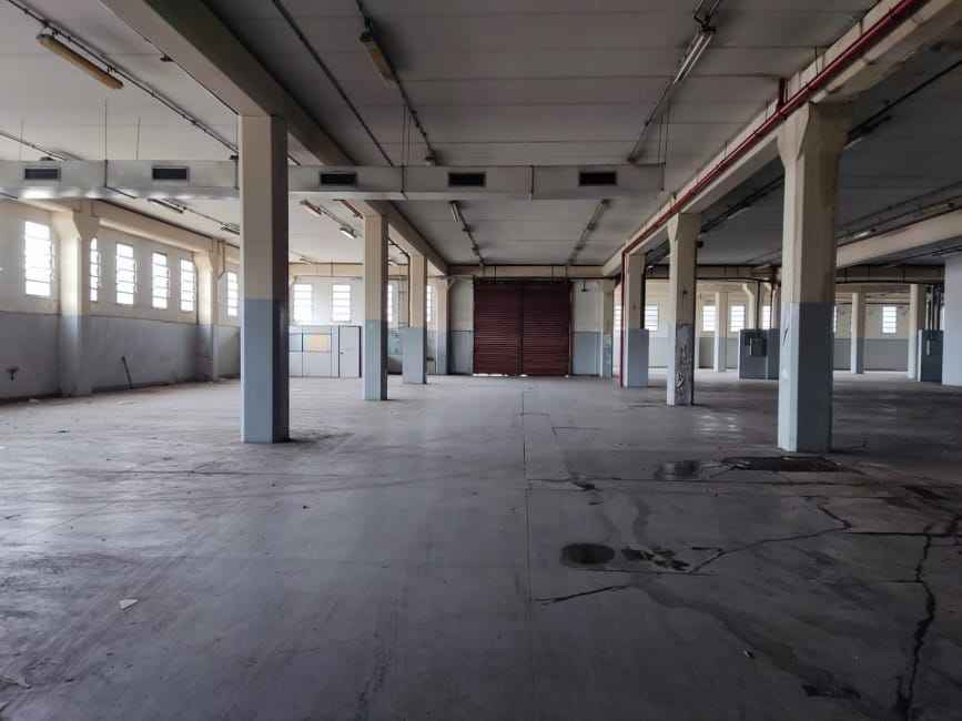 Imagem 12 - 71102113