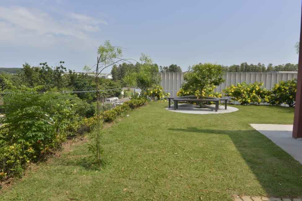 Imagem 14 - 74259357