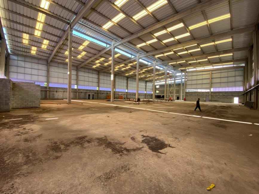 Imagem 12 - 72483998