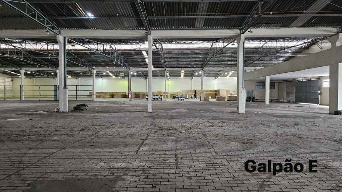 Imagem 16 - 35000428