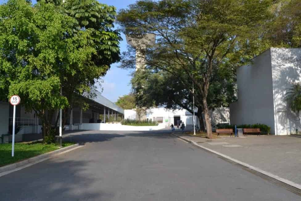 Imagem 5 - 35004322