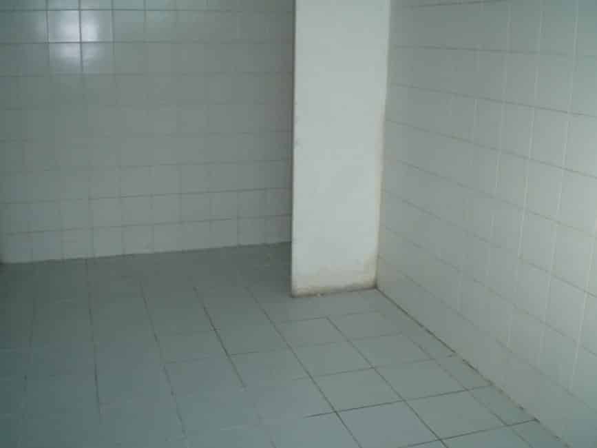 Imagem 16 - 32059122